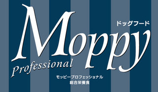 logo2.jpg